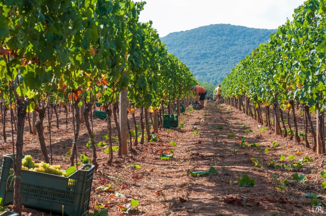 Tenuta La Chiusa Portoferraio Buitenkant foto